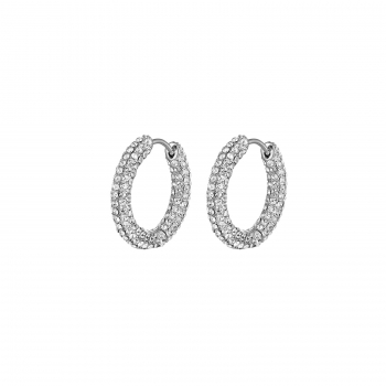 Iris Crystal Earring Clear/Silver