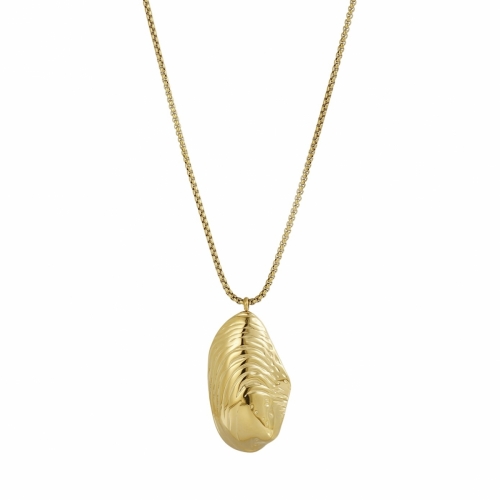 Seashell Necklace Gold
